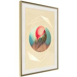 Arkiio Affisch Seashell [Poster] 20x30 Poster